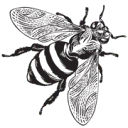 Logo HIVEPOP B.V.