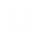 Logo CalmCode