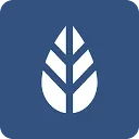 Logo MoreApp