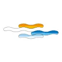 Logo Koninklijk Nederlands Watersportverbond