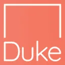 Logo Duke Strategies