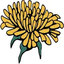 Logo Dandelion Branding