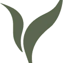 Logo Sana Studios