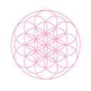 Logo the flower of life