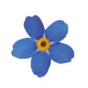 Logo Dementievriendelijk Brabant