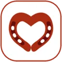 Logo Paard AND Partner