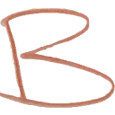 Logo B-Digitized