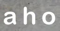 Logo Aho - leadership in business
