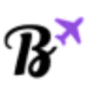 Logo Bebsy