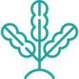 Logo AlgaeHolland