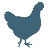 Logo Drikje Design