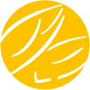 Logo CHICOSEM BV