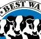 Logo Best Way Ingredients BV