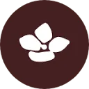 Logo Magical Hydrangea