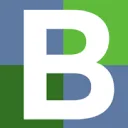 Logo Bigger Picture AND company