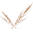 Logo Van Den Berg Rietdekkers