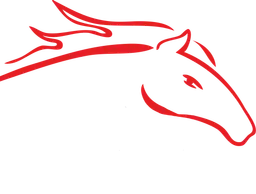Logo Paardenvervoer.nl