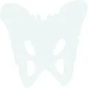 Logo PelviPlus