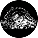 Logo Starfish