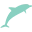 Logo Dolphin Academy Curaçao
