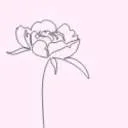 Logo van She Blossoms