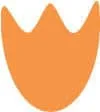 Logo Baay Dutch Language Courses