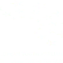 Logo van European Youth Parliament the Netherlands