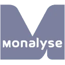 Logo Monalyse Media Monitoring
