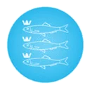 Logo Stichting Omroep Scheveningen