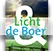 Logo Licht AND de Boer