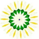 Logo Praktijk Weij