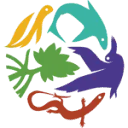 Logo Nature Foundation Sint Maarten