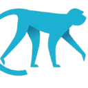 Logo Blue Monkeys