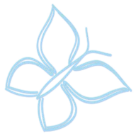 Logo Lansbergen Coaching
