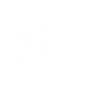 Logo Colors Events NL