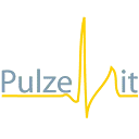Logo Pulze-IT