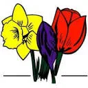 Logo A.C.M. Smit AND Zn Bloembollenkwekerij