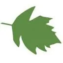 Logo GROENING