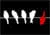 Logo Dare To Be Different Outdoor B.V.