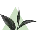 Logo By Trinitea