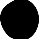 Logo Blacktropik