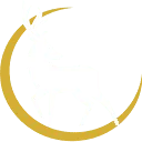 Logo Transparent Business Solutions B.V.
