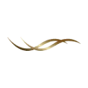 Logo Permanent Mooi