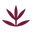 Logo Dore Rooibos Cosmetics