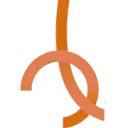 Logo LANS Advocaten