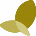 Logo FocusXL