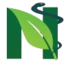 Logo Natuurgroothandel1