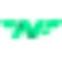 Logo van The Night Flight