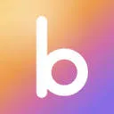 Logo BwiseR