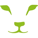 Logo LION Finance
